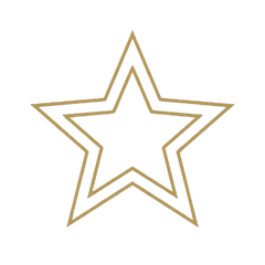 PREMIUM QUALITY icon